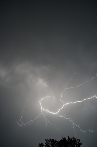 Photo of a large, somewhat circular lightning flash in the sky. In the bottom of the frame, you can see the top of a tree.