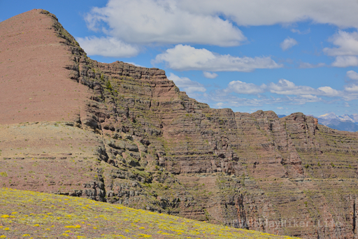 Looking towards Newman Peak (left) and Spionkop ridge behind it.  Wildflowers lined the ground along this pass.