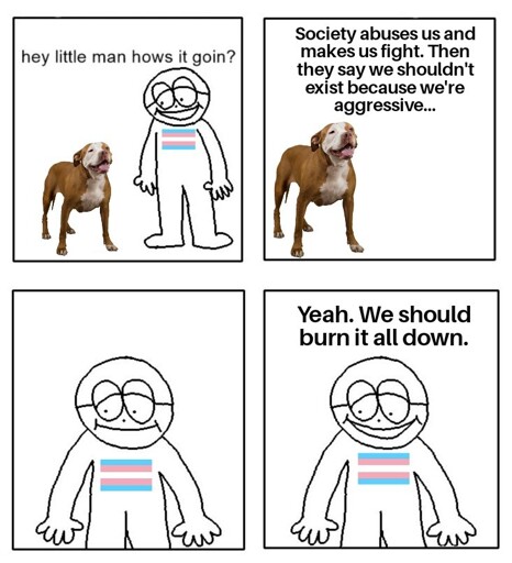 Cartoon guy with a trans flag (personification of the trans community) says: "Hey little man hows it goin?" While a pitbull dog stands next to him. In the next panel the pitbull responds: "Society abuses us and makes us fight. Then they say we shouldn't exist because we're aggressive...". The third panel has the trans cartoon guy in a stubned silence. In the fourth and last panel the trans cartoon man replies to the pitbull: "Yeah. We should burn it all down." 