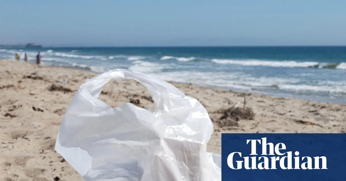 Number of plastic bags found on UK beaches down 80% since charge introduced