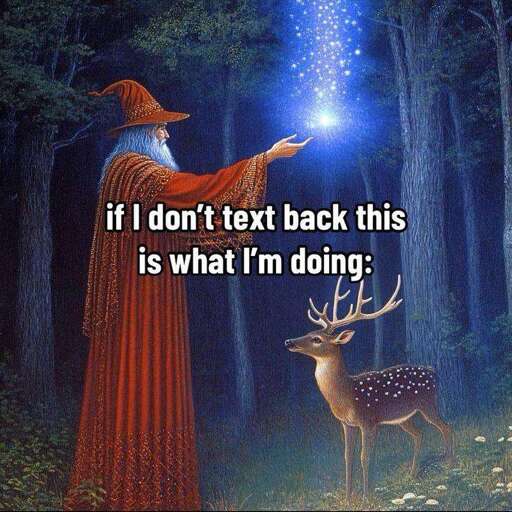 If i dont text back, this is what I'm doing

With a wizard showing a star to a deer