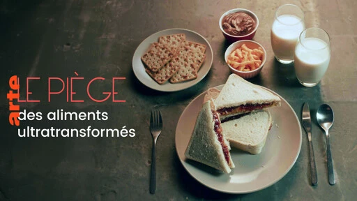 Tous accros : le piège des aliments ultratransformés - Regarder le documentaire complet | ARTE