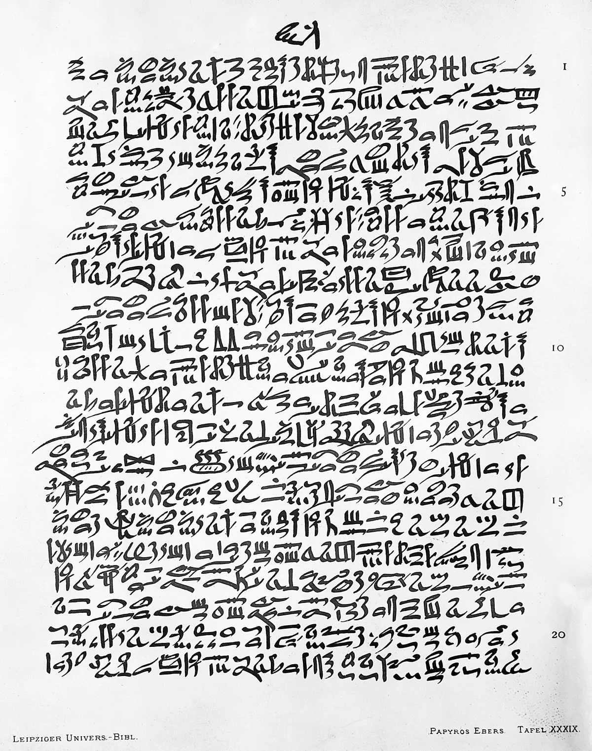 Hieratic - Wikipedia