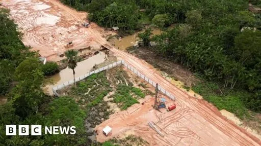 Amazon rainforest cut down to build highway for COP climate summit - BBC News