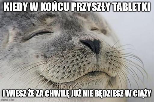 mem
uśmiechnięta foczka

napis
kiedy w końcu przyszły tabletki aborcyjne i wiesz że już za chwilę nie będziesz w ciąży