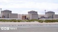 Jellyfish swarm forces French nuclear plant to shut
