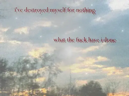 streetlamp and trees at sunset with random specks of light. in the clouds are the words "i've destroyed myself for nothing, what the fuck have i done" in red text