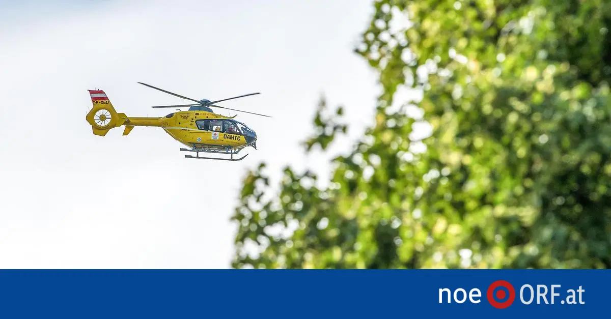 Teenager in Badeschlapfen von Hoher Wand gerettet