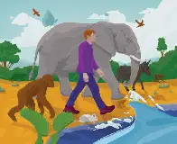 Humans Aren’t as Special as We Once Thought | Other species exhibit capabilities that were once thought to be exclusive to Homo sapiens
