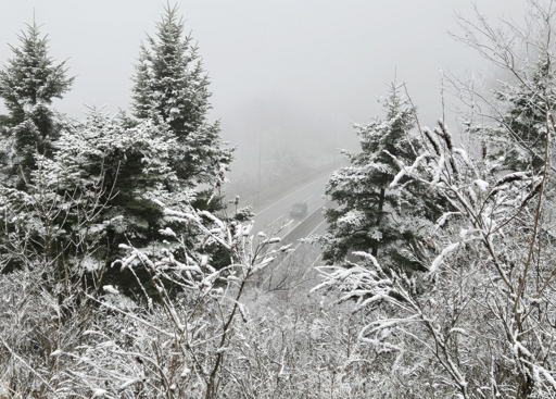 Heavy snow, cold wave expected this weekend