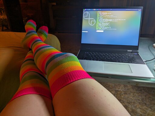 Rainbow socks and my kitty terminal uwu