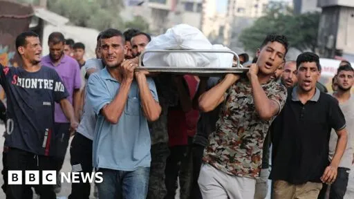 Israel committing genocide in Gaza, world's leading experts say
