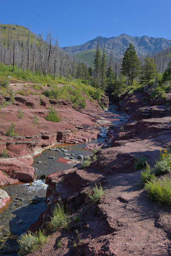Easy access to the creek that runs through the red rock canyon can be found in the lower stretch.  In the afternoon, this whole area is filled with people.  Cloudy peak can be seen in the distance.